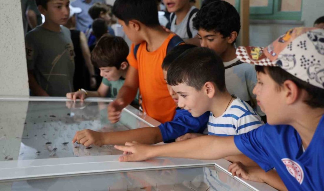 Dondurulmuş hayvan müzesine büyük ilgi Gençlerin serbest zamanlarını verimli ve nitelikli bir şekilde değerlendirmelerini sağlamak,