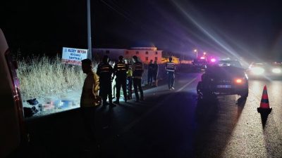 Sakarya’nın Karasu ilçesi D-010 karayolunda yolun karşısına geçmek isteyen 68