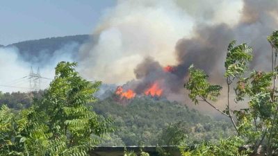 Düzce-Sakarya sınırında ormanlık alanda yangın çıktı. Alevlerin yükseldiği bölgeye çok