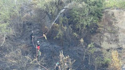 Düzce-Sakarya sınırında ormanlık alanda çıkan yangın, ekiplerin yaklaşık 6 saatlik