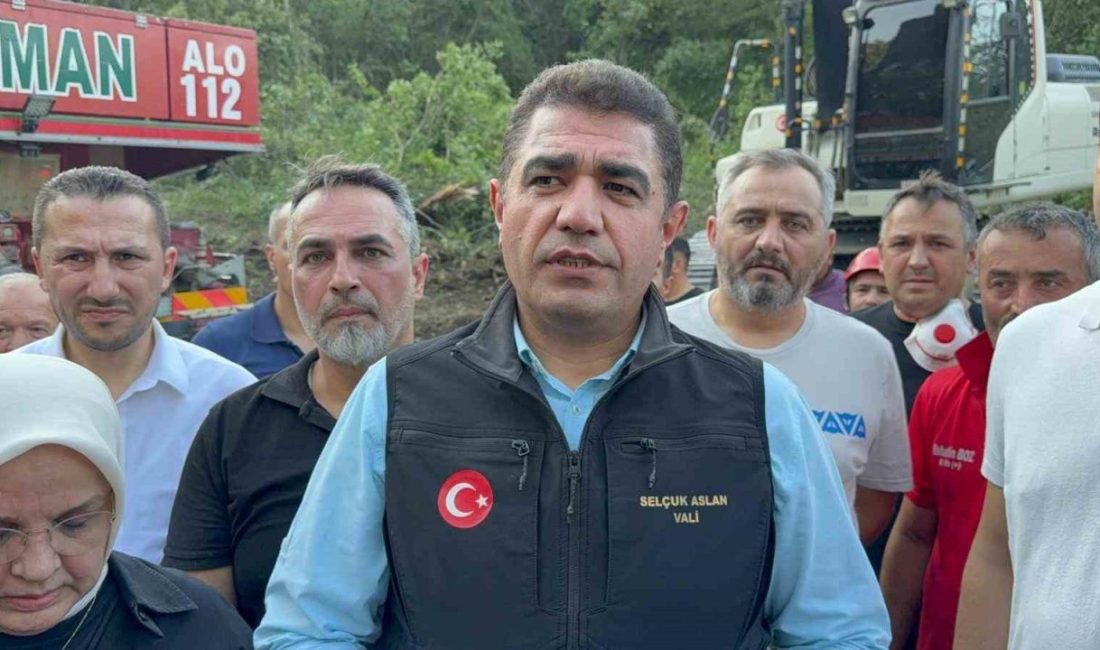 Sakarya’nın Hendek ilçesinde başlayıp Düzce’ye sıçrayan orman yangınına ilişkin açıklama