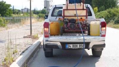 Düzce Belediyesi yaz aylarında artan sivrisinek ve karasinek haşerelerine karşı