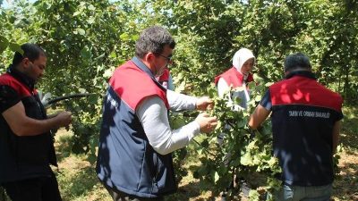 Düzce İl Tarım ve Orman Müdürlüğü tarafından yürütülen 2025 yılı