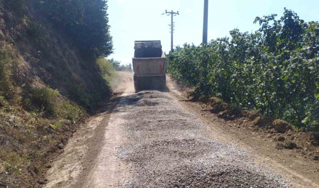 Düzce’de köy yollarında malzemeyle bakım çalışmaları tüm hızıyla devam ediyor.
