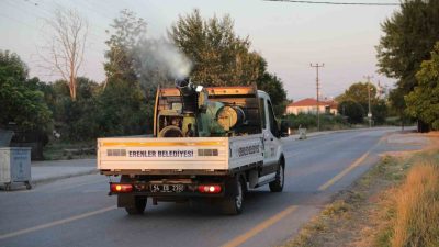 Erenler Belediyesi; sinek, sivrisinek ve haşere ilaçlama çalışmalarını ilçe genelinde