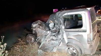 Bolu’da gece saatlerinde yola aniden çıkan bir geyiğe çarpan hafif