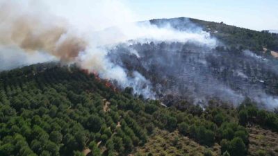 Kocaeli’nin Gebze ilçesinde ormanlık alanda çıkan yangın, havadan ve karadan