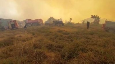 Kocaeli’nin Gebze ilçesinde ormanlık alanda çıkan yangını söndürme çalışmaları sürüyor.
