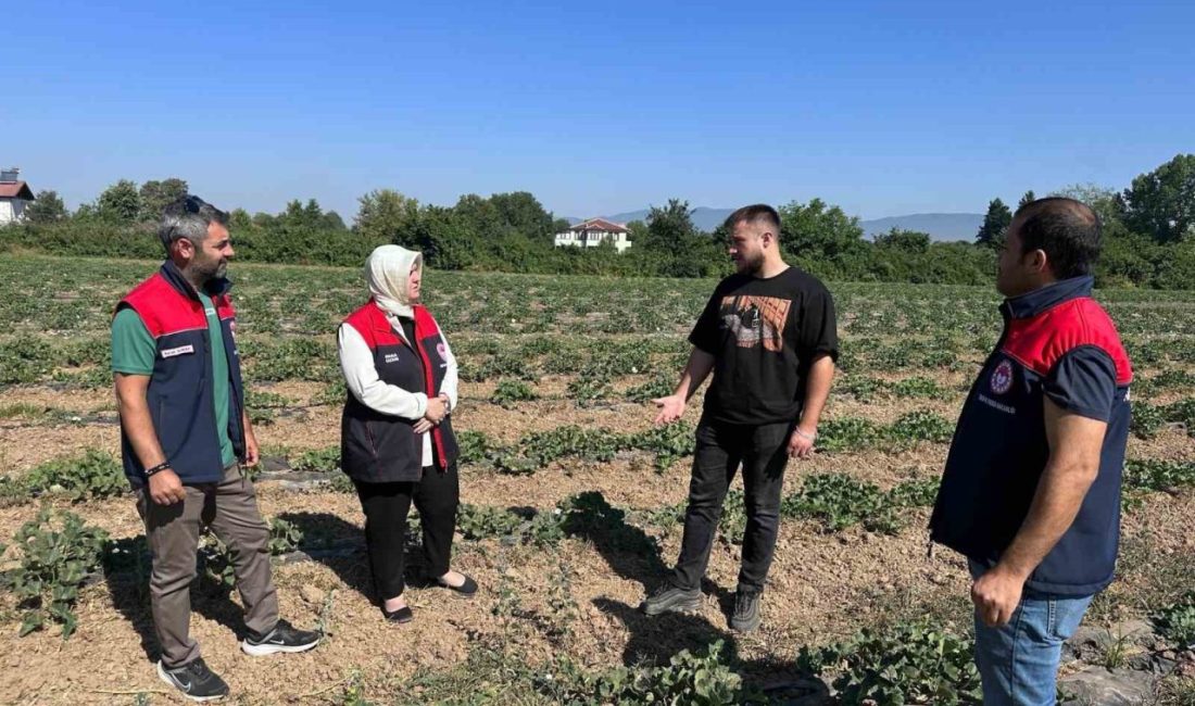 Genç çiftçiden örnek tarım uygulaması DÜZCE(İHA) – Düzce Merkeze bağlı Kirazlı Köyü’nde üniversite öğrencisi genç