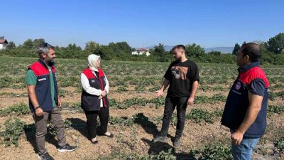 DÜZCE(İHA) – Düzce Merkeze bağlı Kirazlı Köyü’nde üniversite öğrencisi genç