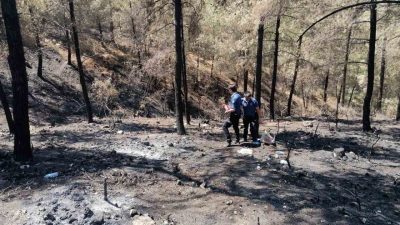 Sakarya’nın Geyve ilçesinde 20 Temmuz’da başlayarak Bilecik’e de sıçrayan orman