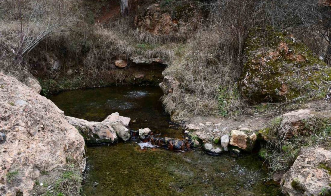 Kastamonu’nun Araç ilçesini ziyaret eden yüzlerce vatandaş, şifalı olduğuna inanılan