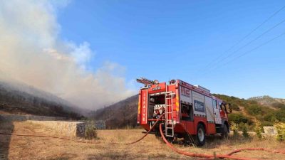 Kocaeli’de yaz aylarının gelmesiyle birlikte artan orman yangınları konusunda vatandaşlar