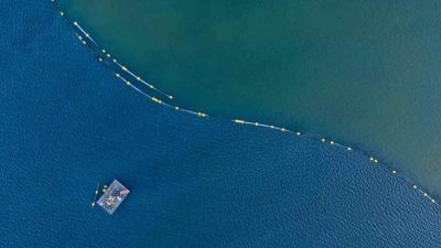 İzmit Körfezi’ndeki canlılığı daha da artıracak dev çevre projesinde bugüne