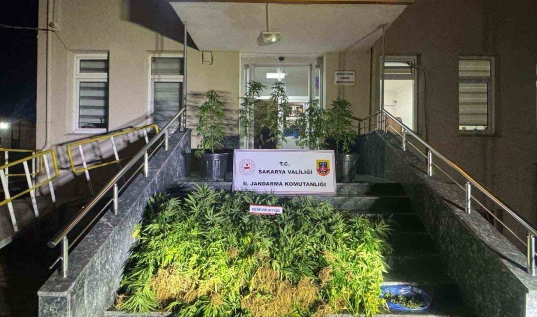 Jandarma uyuşturucuya geçit vermiyor: 1 tutuklama Sakarya’da 1 haftada yapılan uyuşturucu operasyonunda gözaltına alınan 9 şüpheliden