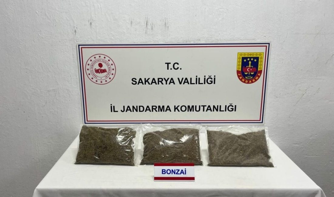 Sakarya’nın Adapazarı ilçesine jandarma ekiplerince yapılan uyuşturucu operasyonunda 64 yaşındaki