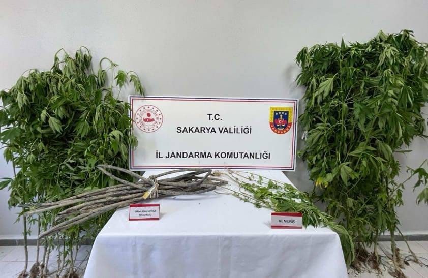 Sakarya’nın Karapürçek ilçesinde jandarma ekiplerince yapılan uyuşturucu operasyonunda 1 kişi