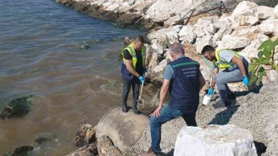 Çevre, Şehircilik ve İklim Değişikliği Bakanlığı, yağmur suyu hattından denize