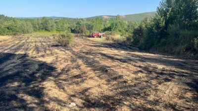 Kastamonu’nun Doğanyurt ilçesinde elektrik tellerinin kopması sonucu çıkan orman yangını,