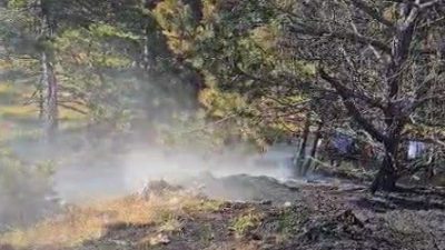 Kastamonu’nun Devrekani ilçesinde ormanlık alanda çıkan yangın, itfaiye ekiplerinin müdahalesi