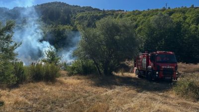 Kastamonu’nun Pınarbaşı ilçesinde ormanlık alanda çıkan yangın ekiplerin kısa sürede