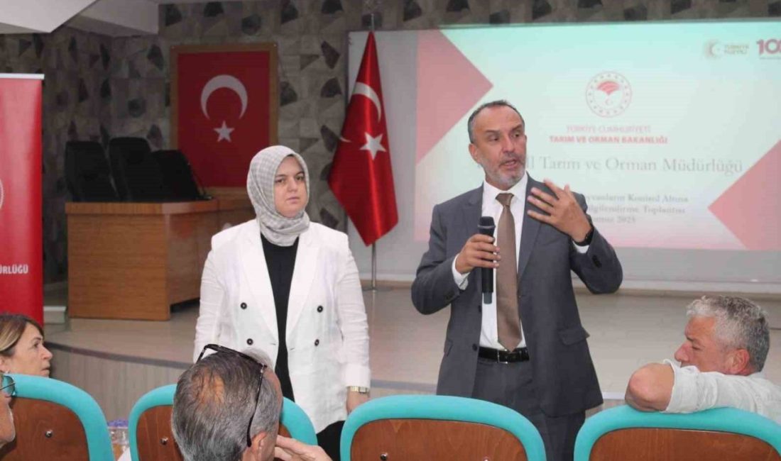 Kedi-köpek kayıt sistemi hakkında muhtarlara bilgilendirme yapıldı Düzce’de kedi-köpek kayıt sisteminin etkin bir şekilde yürütülmesi amacıyla, kamu