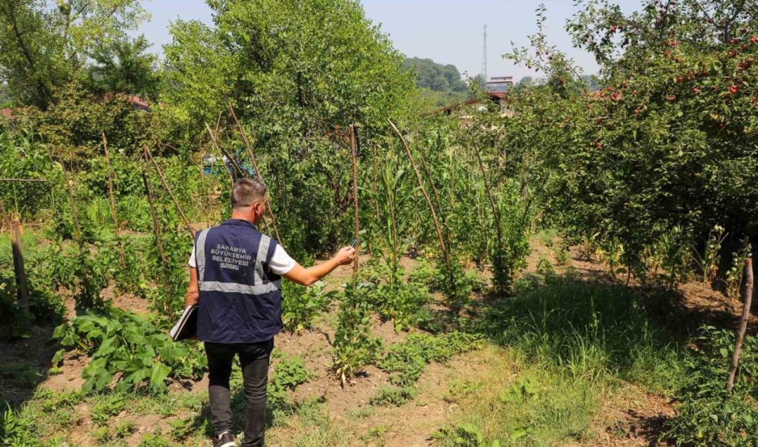 Kesintilere sebep olan kaçak kullanımı engellemek için ekipler 24 saat sahada SASKİ, kuraklığın su kaynakları üzerindeki olumsuz etkilerini azaltmak için şehir