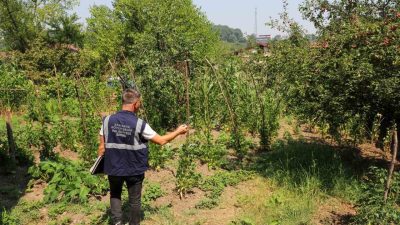 SASKİ, kuraklığın su kaynakları üzerindeki olumsuz etkilerini azaltmak için şehir