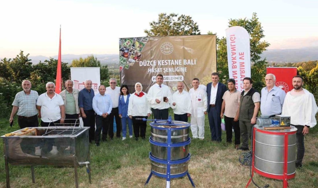 Düzce’nin eşsiz doğasında, kestane ormanlarının sunduğu zengin flora ile hayat