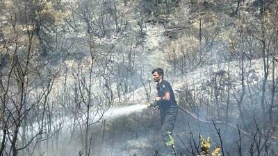 Kocaeli Büyükşehir Belediyesi İtfaiye Daire Başkanlığı ekipleri, Bursa’da çıkan geniş
