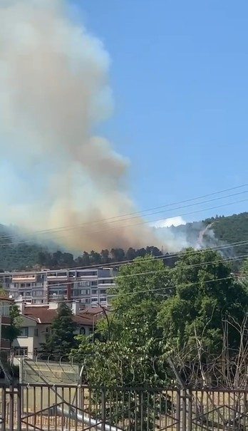 Kocaeli’de çıkan orman yangınına müdahale sürüyor. Edinilen bilgiye göre, Körfez