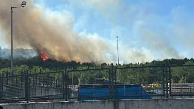 Kocaeli’nin Gebze ilçesinde ormanlık alanda yangın çıktı. Edinilen bilgiye göre,