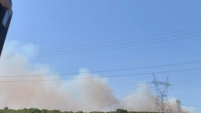 Kocaeli’nin Gebze ilçesinde ormanlık alanda yangın çıktı. Edinilen bilgiye göre,