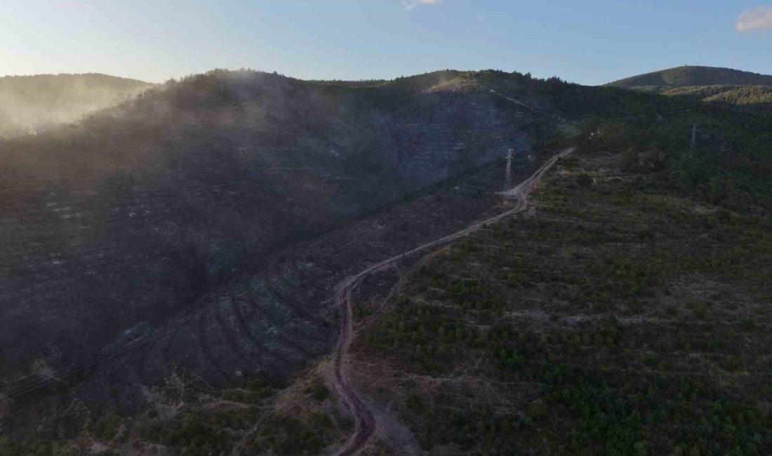 Kocaeli’nin Derince ilçesinde çıkan orman yangını, havadan ve karadan uzun
