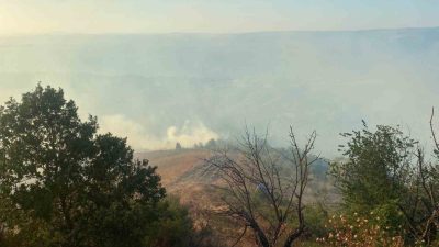 Kocaeli’nin Karamürsel ilçesinde farklı noktalarda çıkan orman yangınlarına ekiplerin müdahalesi