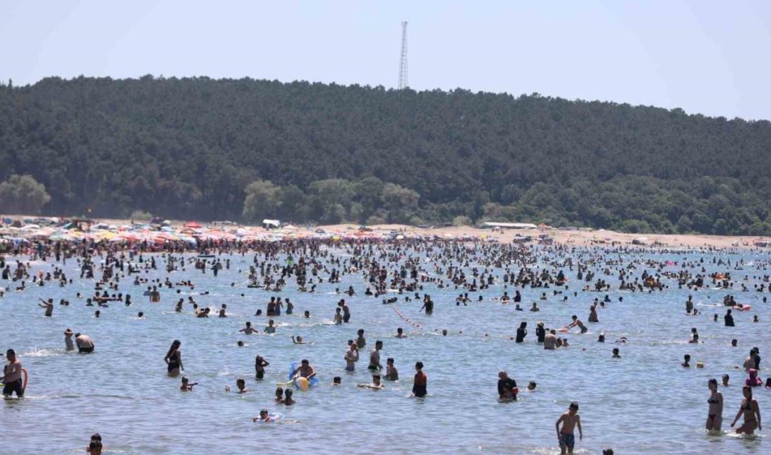 KOSKEM 1 haftada 202 can kurtardı Kocaeli sahillerinde görev yapan KOSKEM ekipleri, bir haftada 202 kişiyi