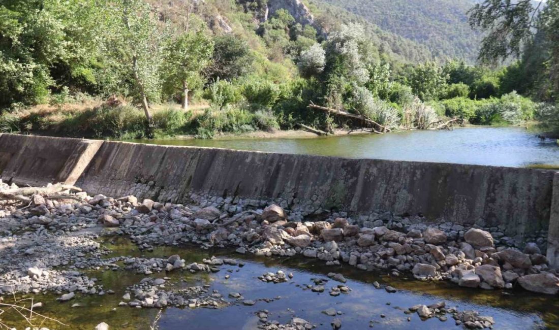 Bilecik’te Göksu Nehri üzerinde bulunan Düzmeşe Benti yaşanan kuraklığa orman