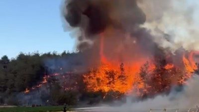 Bilecik’te Osmaneli ilçesine bağlı Medetli köyünde orman yangını başladı. Sakarya’nın
