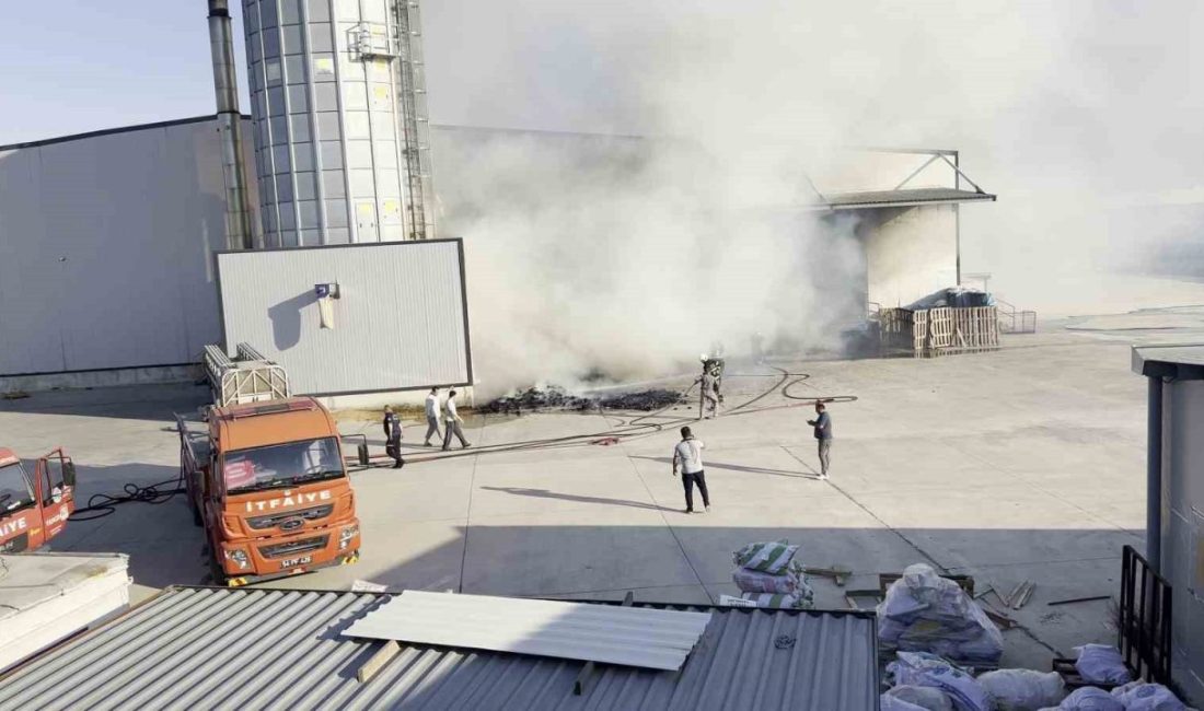 Mobilya üretim fabrikasında yangın: Ekipler, söndürmek için seferber oldu Sakarya’nın Kaynara ilçesinde bulunan Mobilya OSB içinde faaliyet gösteren fabrikanın