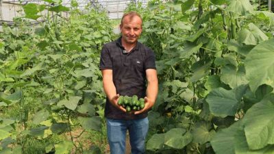 Kocaeli’de yüzde 50 hibeli gübre ve modern sera desteğinden yaralanan