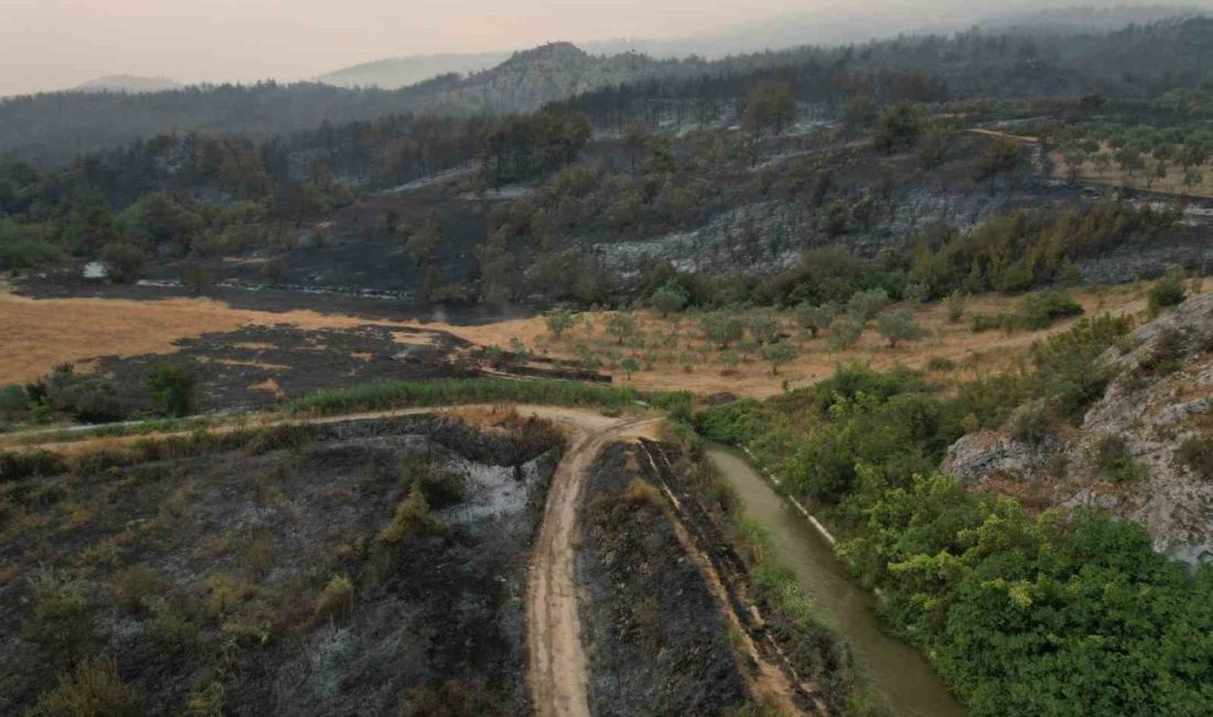 Sakarya’nın Geyve ilçesinde dün ormanlık alanda başlayıp yerleşim yerine sıçrayan
