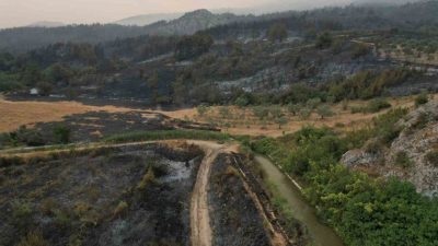 Sakarya’nın Geyve ilçesinde dün ormanlık alanda başlayıp yerleşim yerine sıçrayan