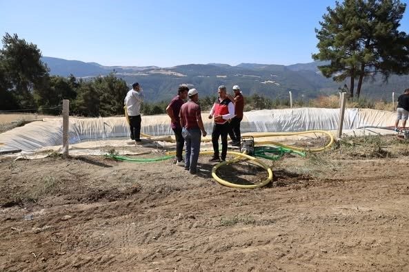 Bilecik’in Gölpazarı ve Osmaneli ilçelerinde çıkan orman yangınlarının ardından, İl