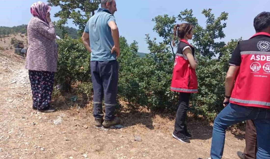 Orman yangını sonrası psikososyal destek hızla verildi Bilecik’te Demirköy, Kurtköy ve Hamidiye köyleri arasında çıkan orman yangını