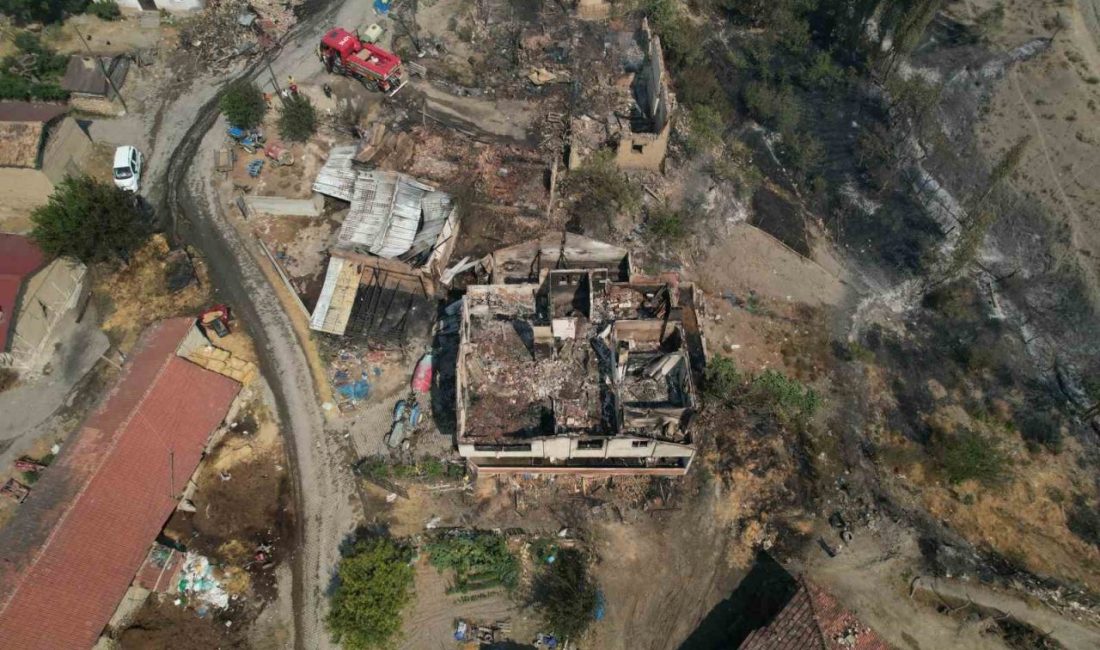 Sakarya’nın Geyve ilçesinde ormanlık alanda çıkan yangın sonucunda alevlere teslim