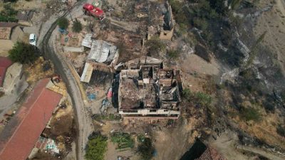 Sakarya’nın Geyve ilçesinde ormanlık alanda çıkan yangın sonucunda alevlere teslim