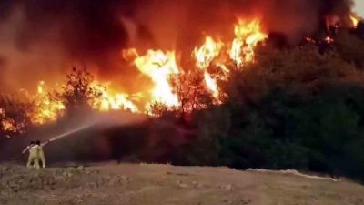 Sakarya’nın Geyve ilçesinde çıkan ve rüzgarın etkisiyle Bilecik sınırlarına da