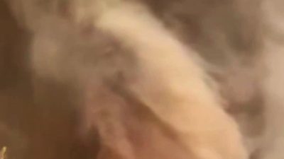 Sakarya’nın Geyve ilçesinde başlayıp Bilecik’e sıçrayan orman yangınında, Orman Genel