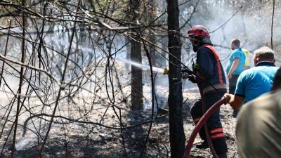 Sakarya Büyükşehir Belediyesi, yaz sıcaklarının etkisini artırdığı bu günlerde orman