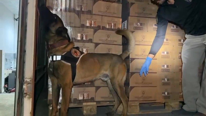 Osmangazi Köprüsü girişinde 9 kilo kokain maddesi ele geçirildi Kocaeli TEM Otoyolu Osmangazi Köprüsü girişinde durdurulan araçta narkotik köpeği